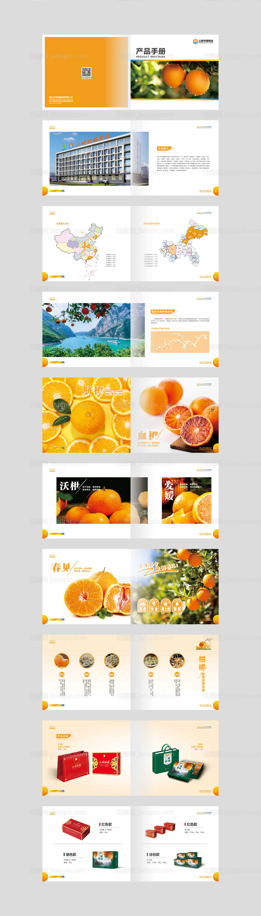 柑橘画册宣传册-源文件