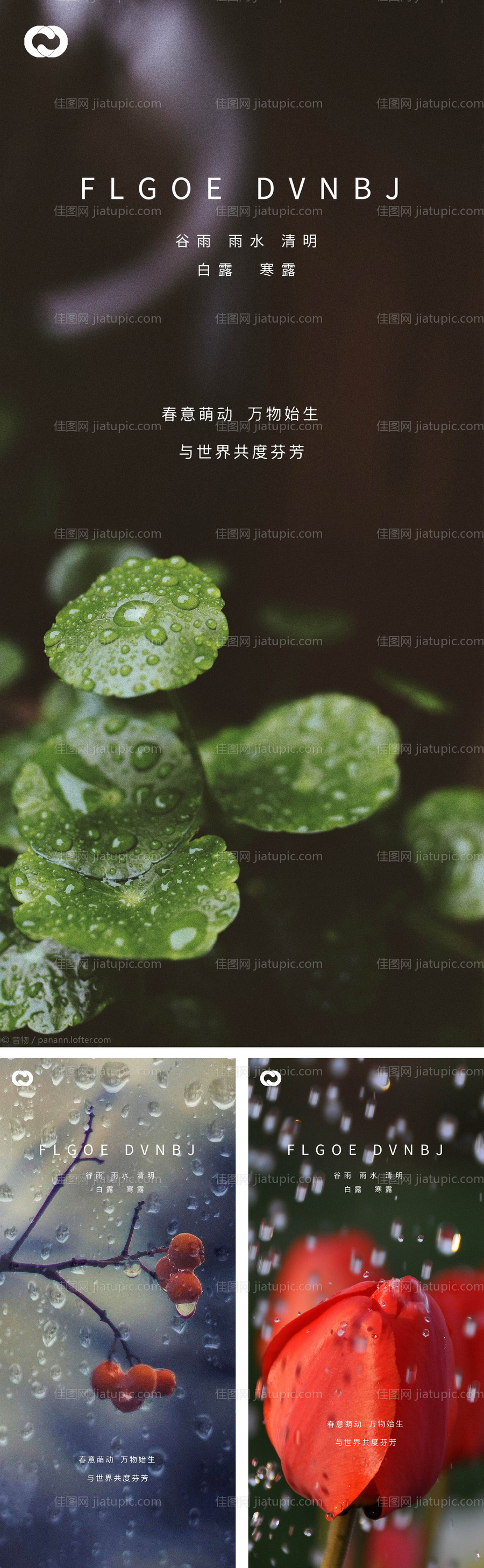 雨水谷雨清明白露寒露微信海报-源文件